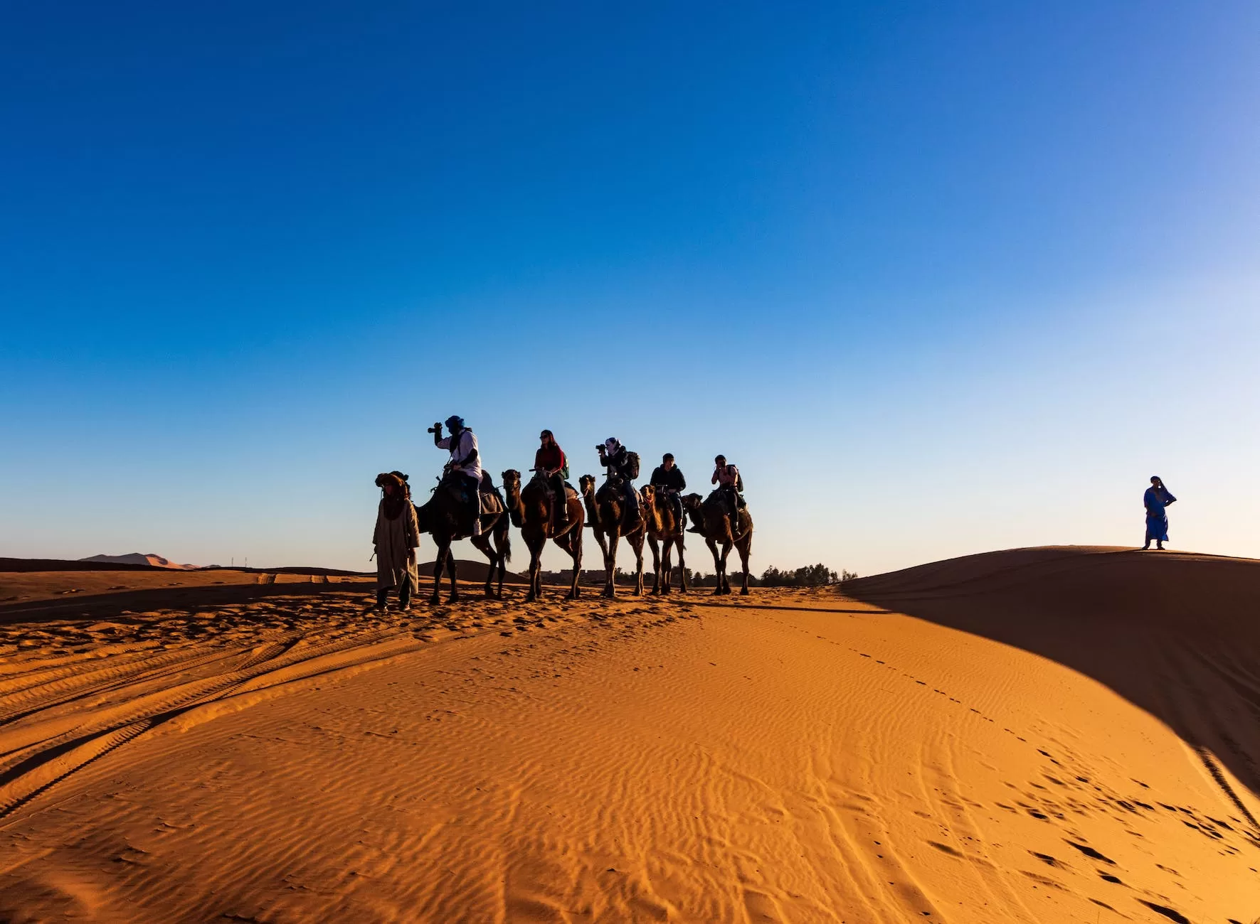 people riding on camels night in Marrakesh