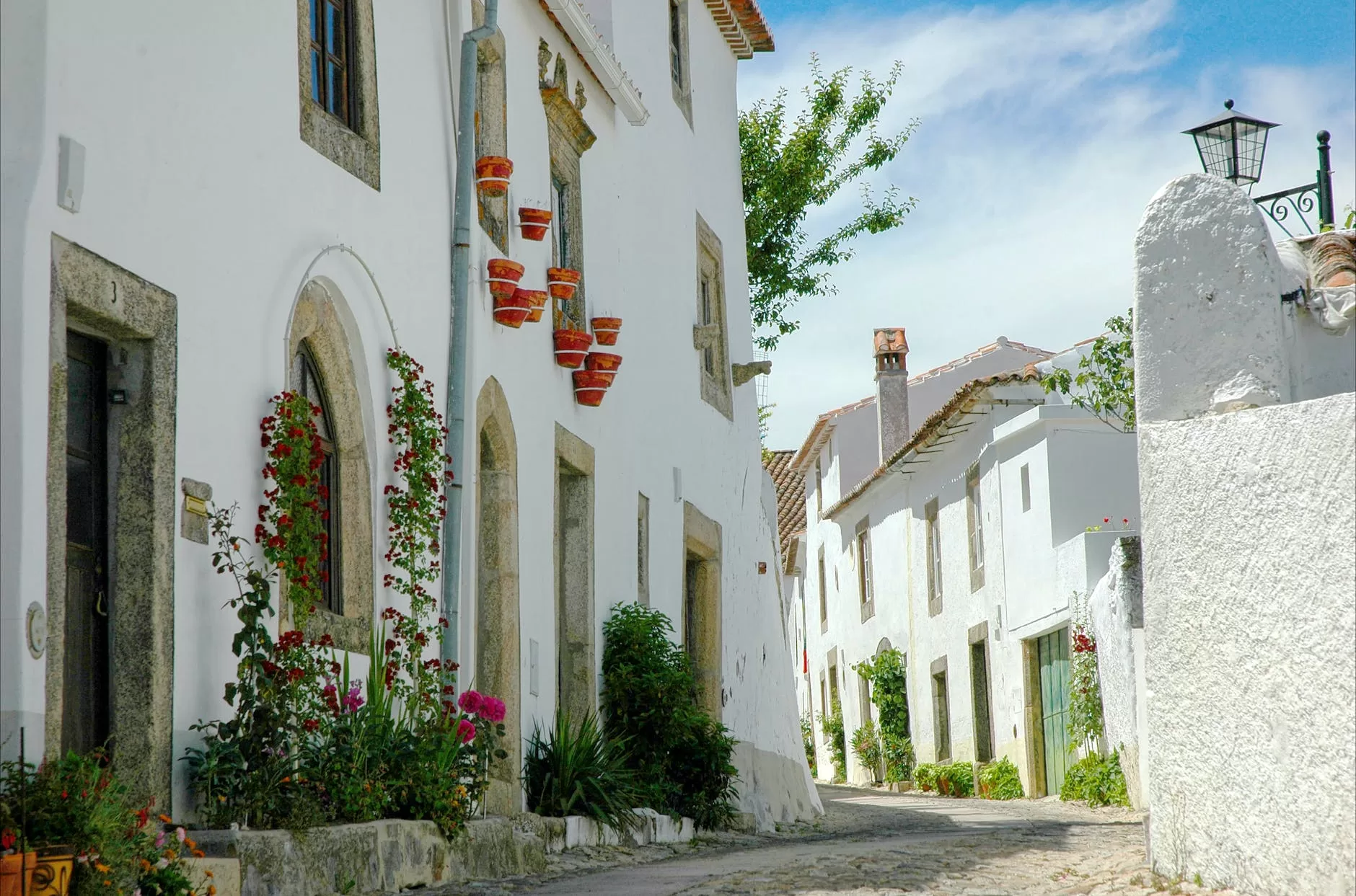 white concrete structure with green and red plants