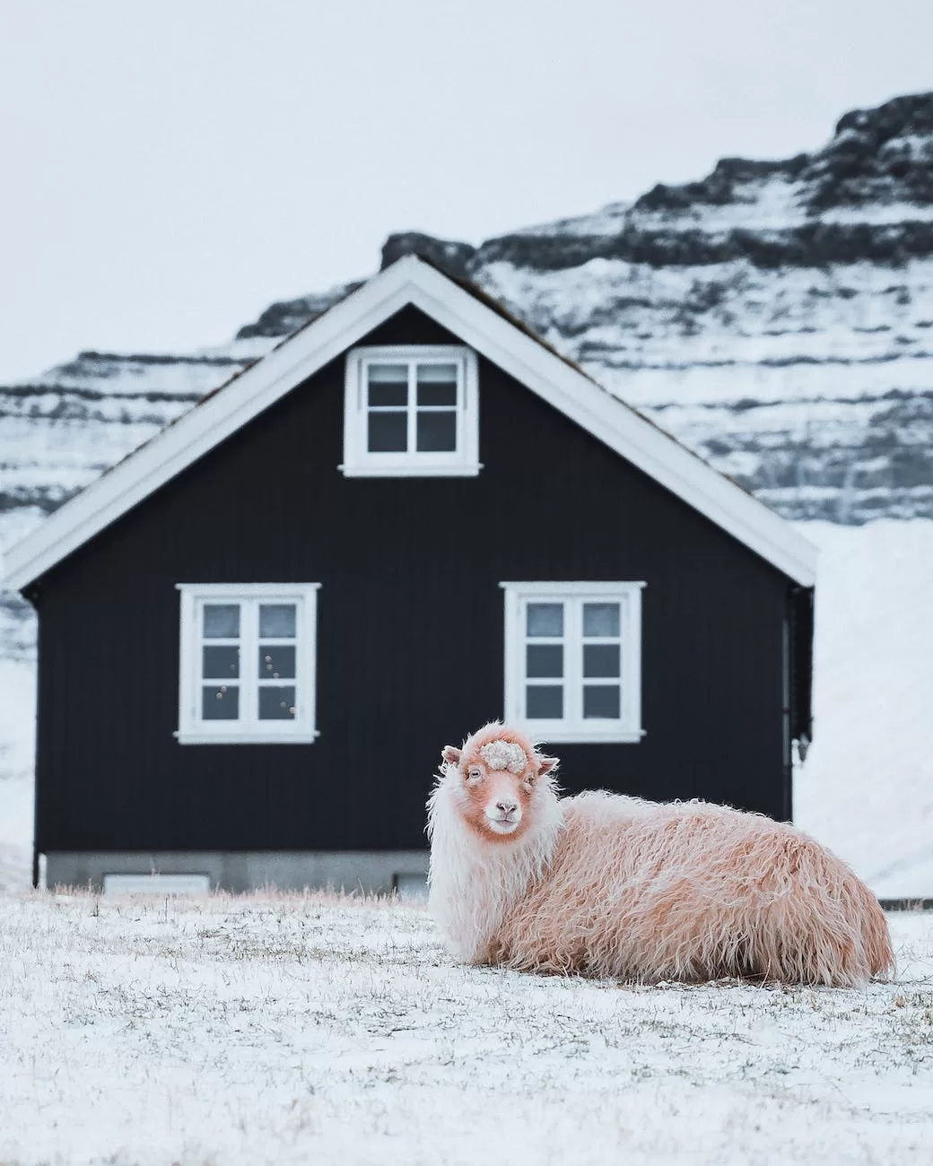 sheep lying on cold ground near house

North Macedonia Digital Nomad Visa
