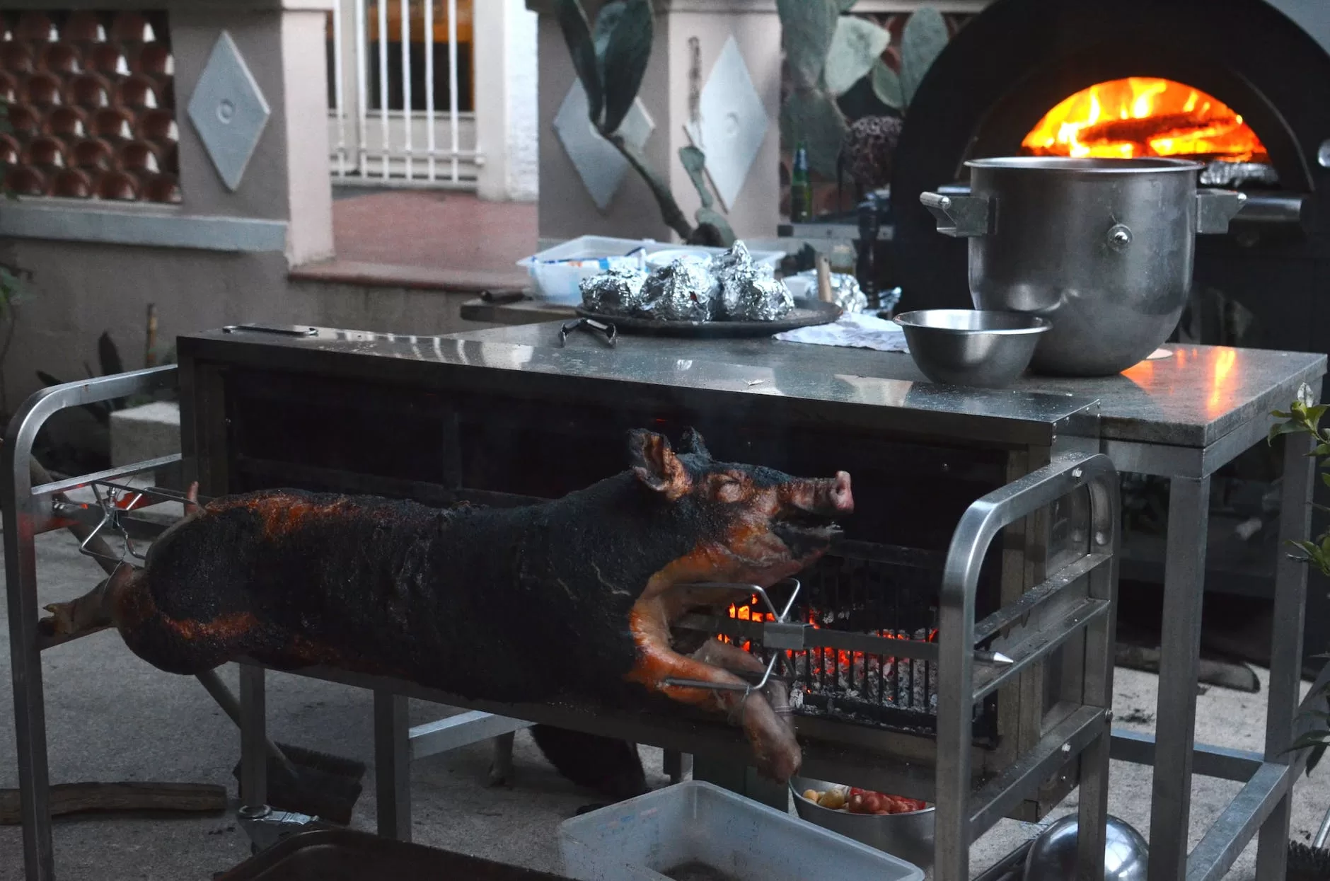 pig grilling on broach in farm yard