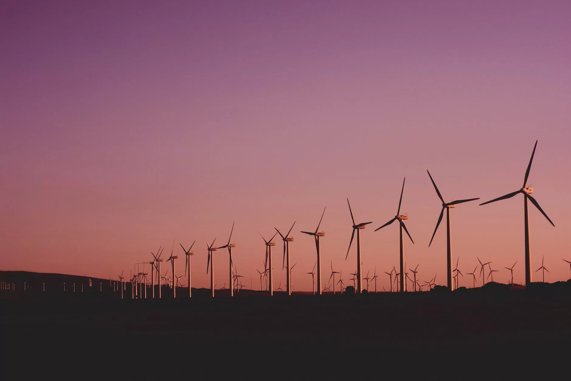 photo of wind turbines lot
Personal Growth through Exploration