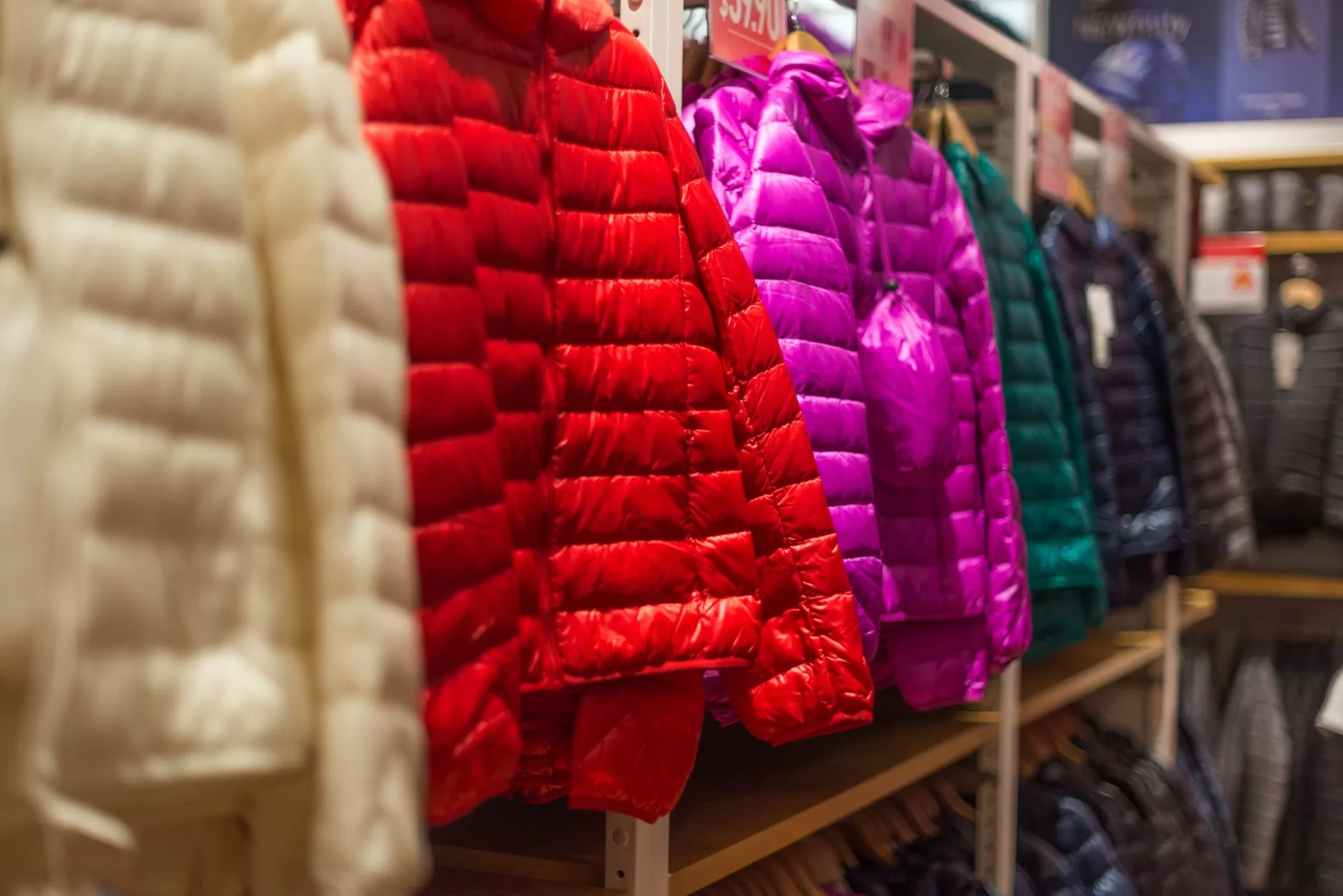 assorted color bubble jackets hanged