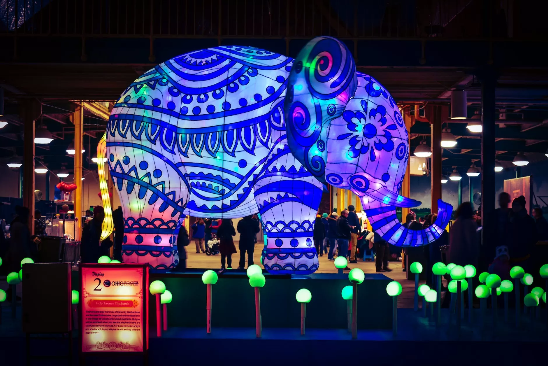 blue and green elephant with light travel theme