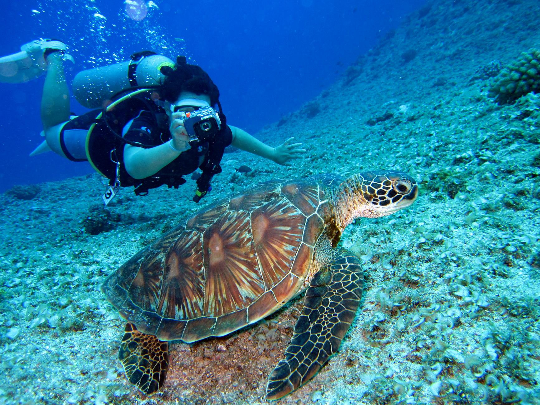be a scuba diving instructor earn money while traveling