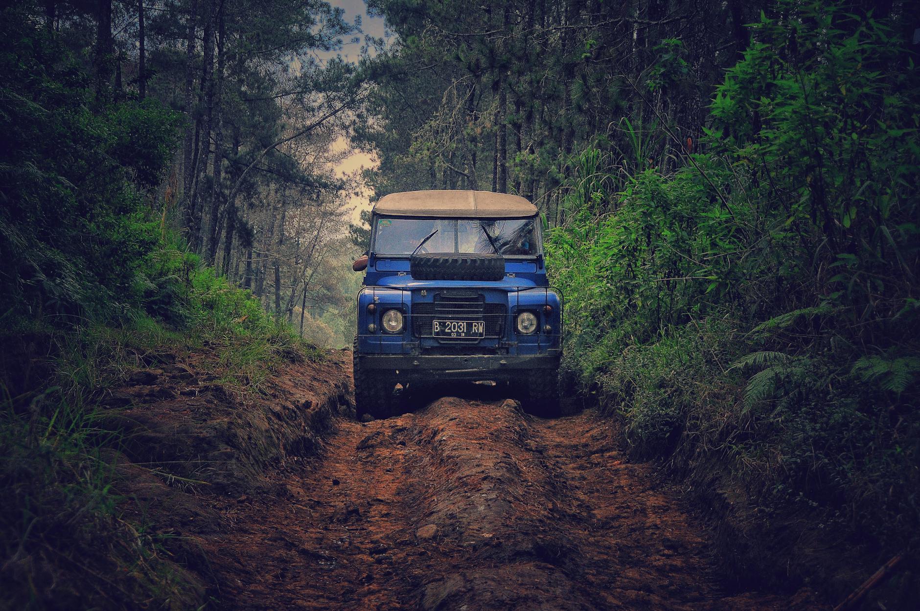 blue car on dirt road between green leaf trees adventure best travel tips