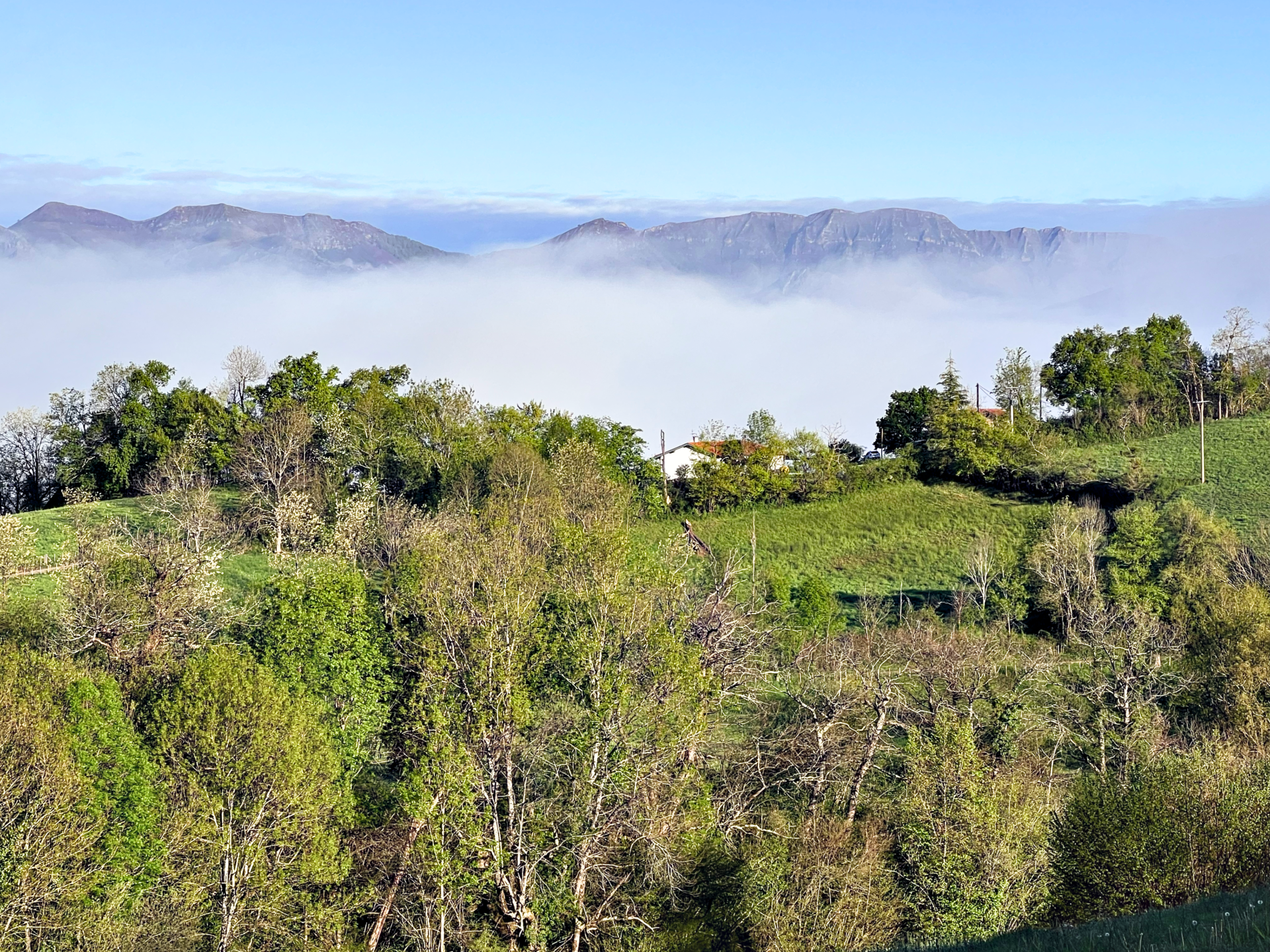Camino Francés Guide: How to Plan Your Route, Stages, and Beautifully Unpredictable Journey