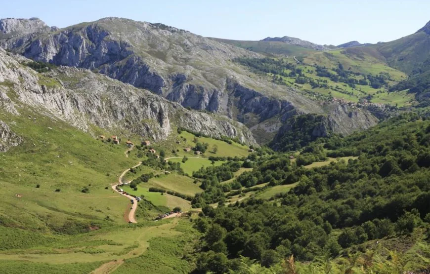 Camino Training Plan: How I Trained for the Camino de Santiago Without Destroying My Knees
