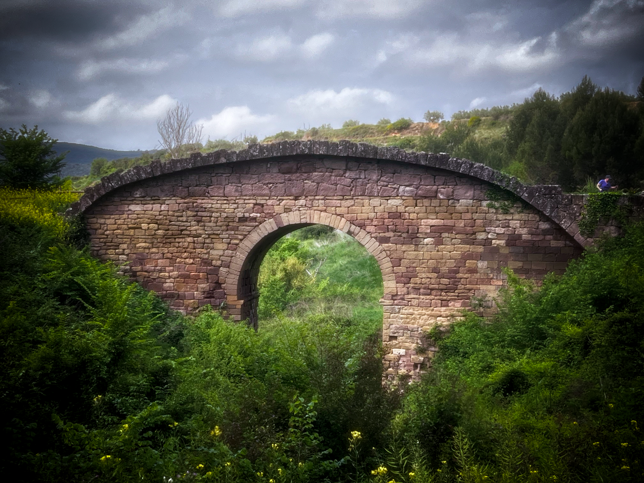 Puente la Reina to Villatuerta: Camino Francés Day 10